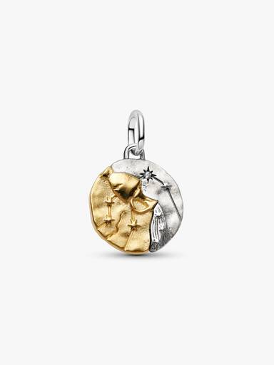 Charms-medalion ze znakiem zodiaku Wodnik