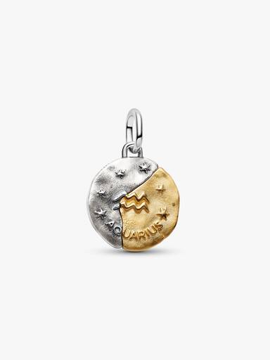 Charms-medalion ze znakiem zodiaku Wodnik