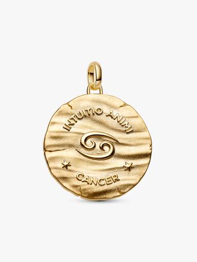 Duży medalion ze znakiem zodiaku Rak