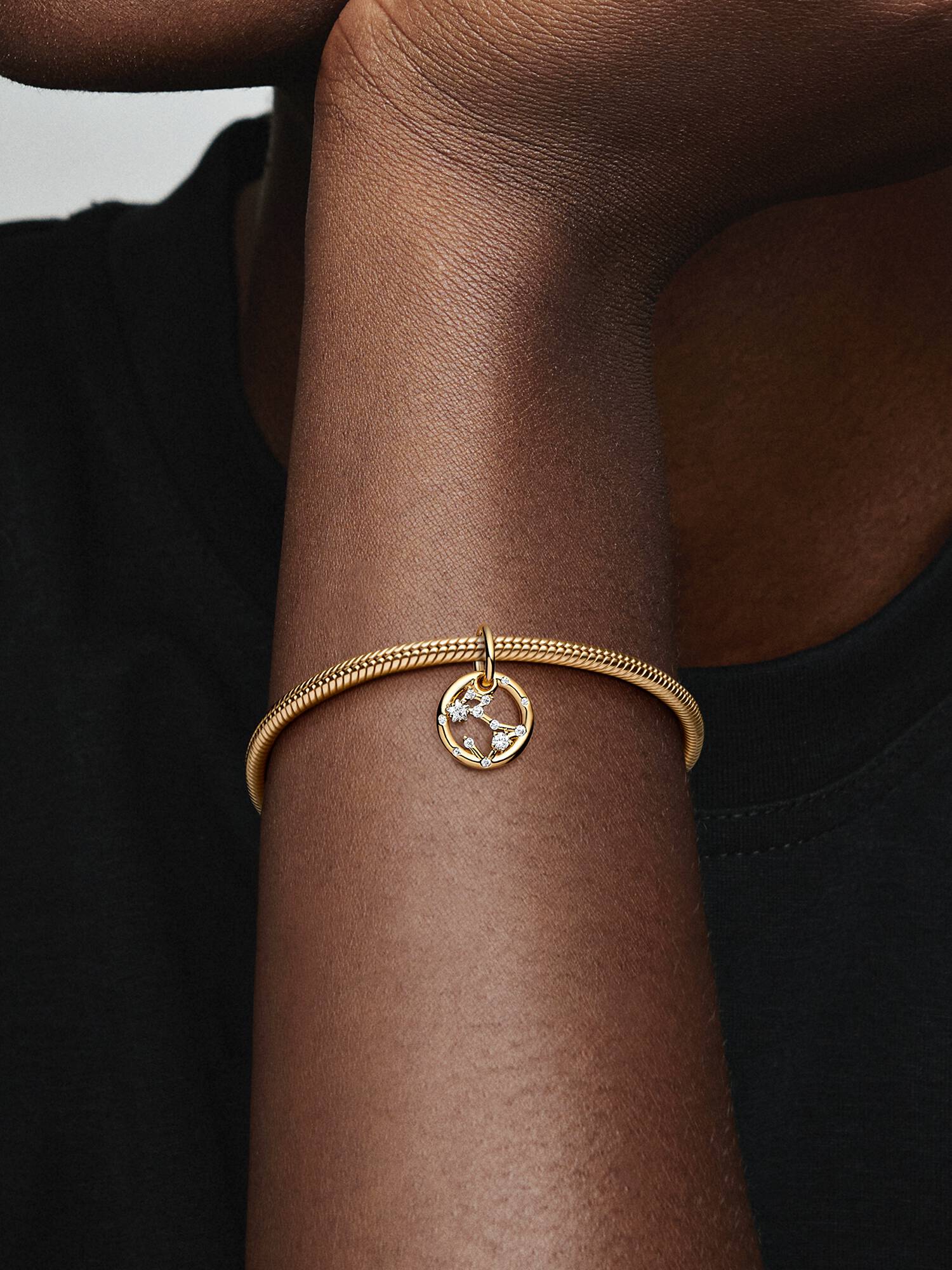 Charms-zawieszka ze znakiem zodiaku Ryby