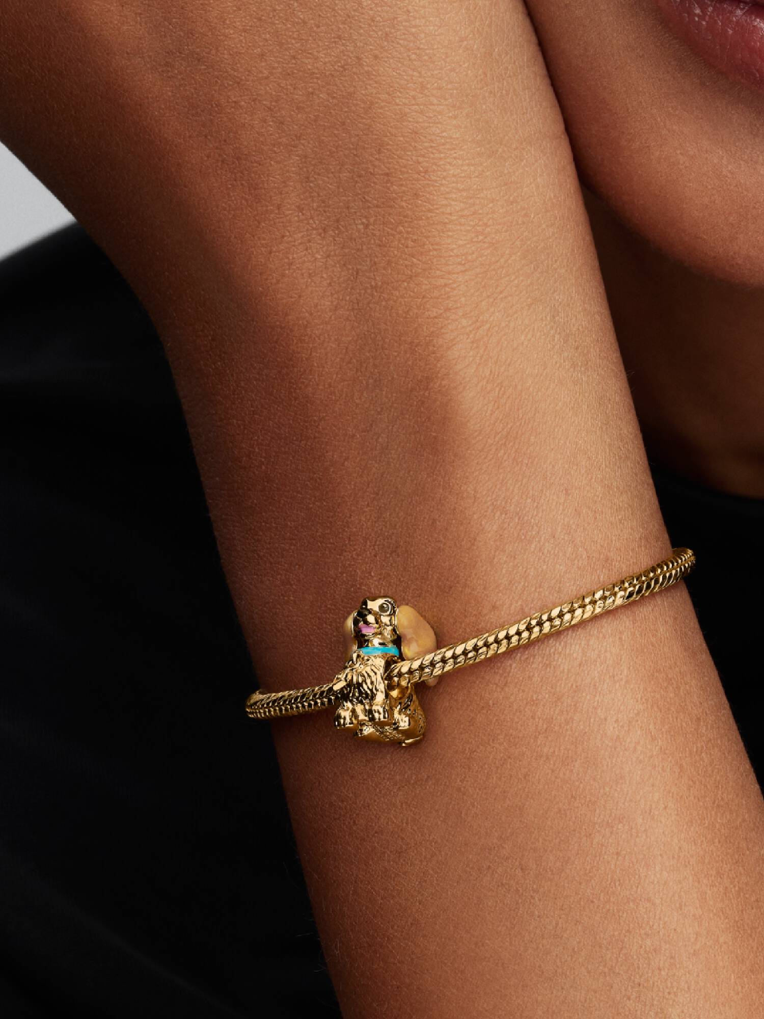 Disney Charms Lady