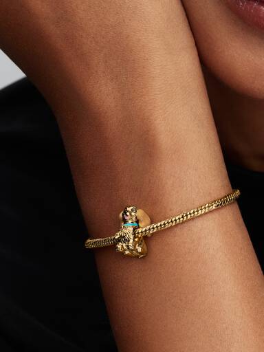 Disney Charms Lady