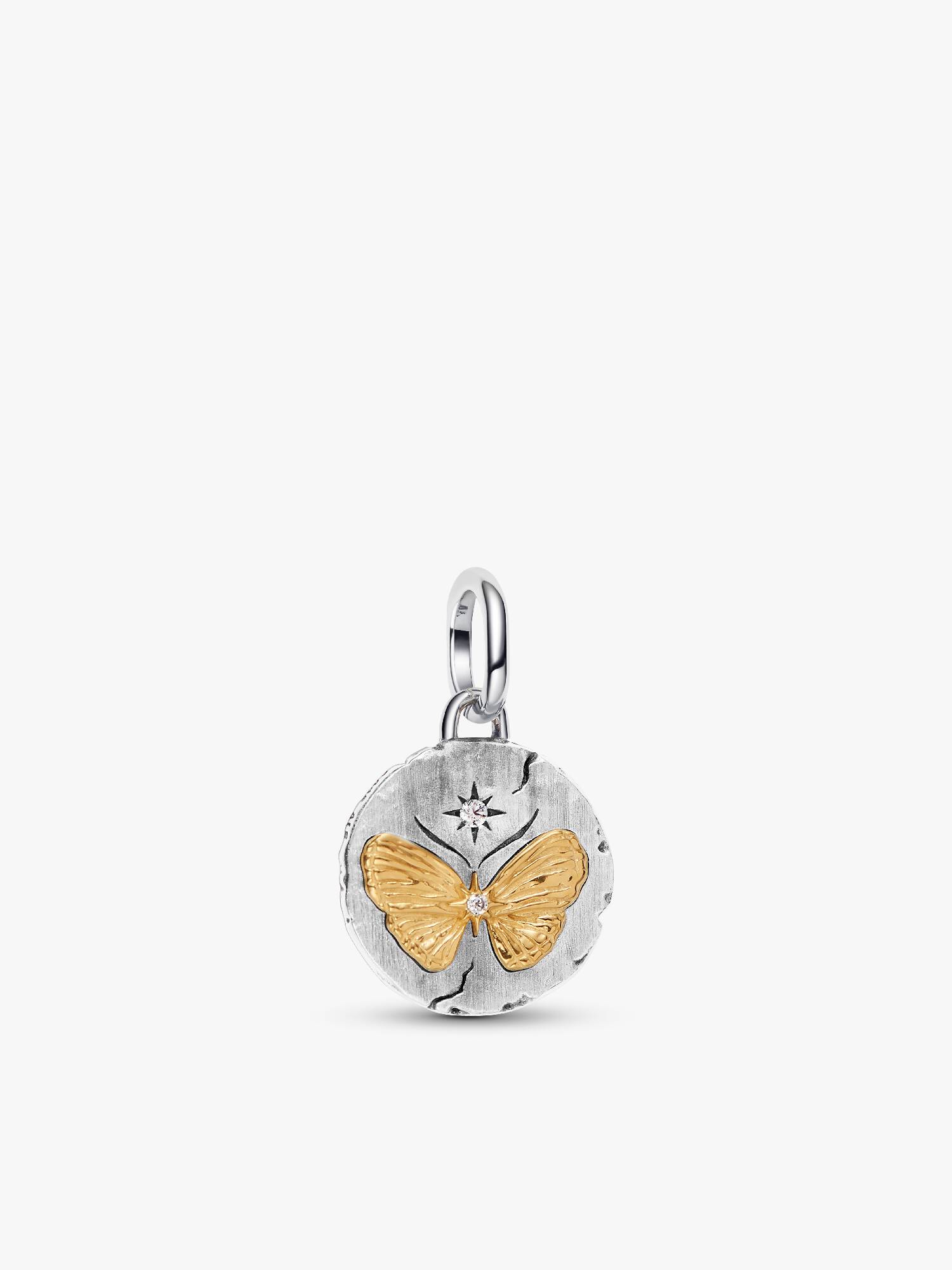 Charms-medalion Motyl