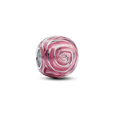 Różowy charms Kwitnąca róża